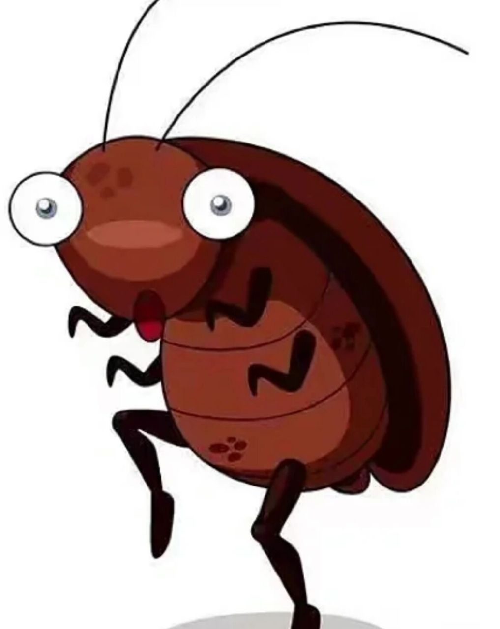 半个月内发现两只大蟑螂了,第一次觉得可能开门带进来了,但第二次