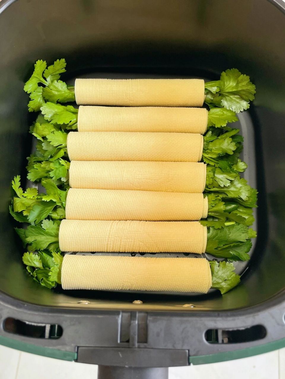 香菜豆皮卷真的绝了! 就是烧烤摊的味道! 低卡高蛋白!