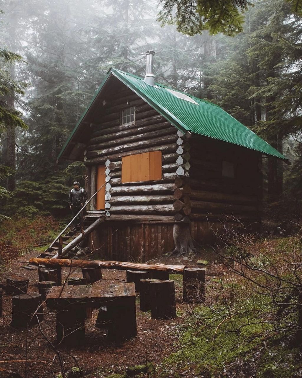 梦想在森林里有个小房子,开窗就能看到万物 在森林里盖个小房子,每天