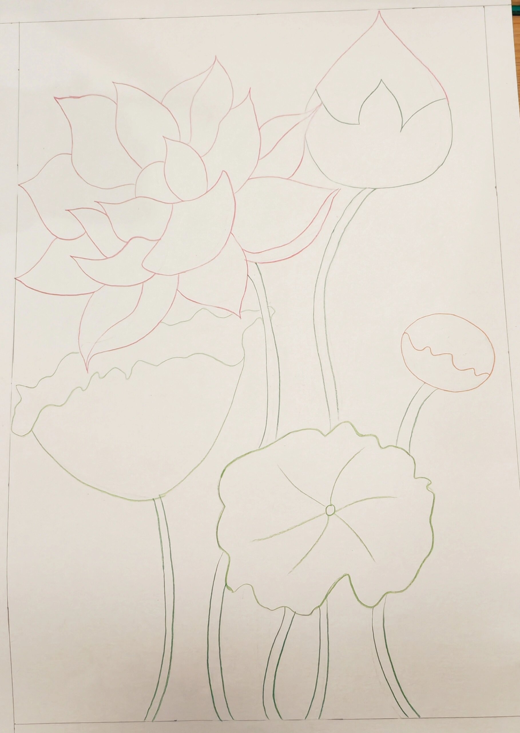 荷花手绘