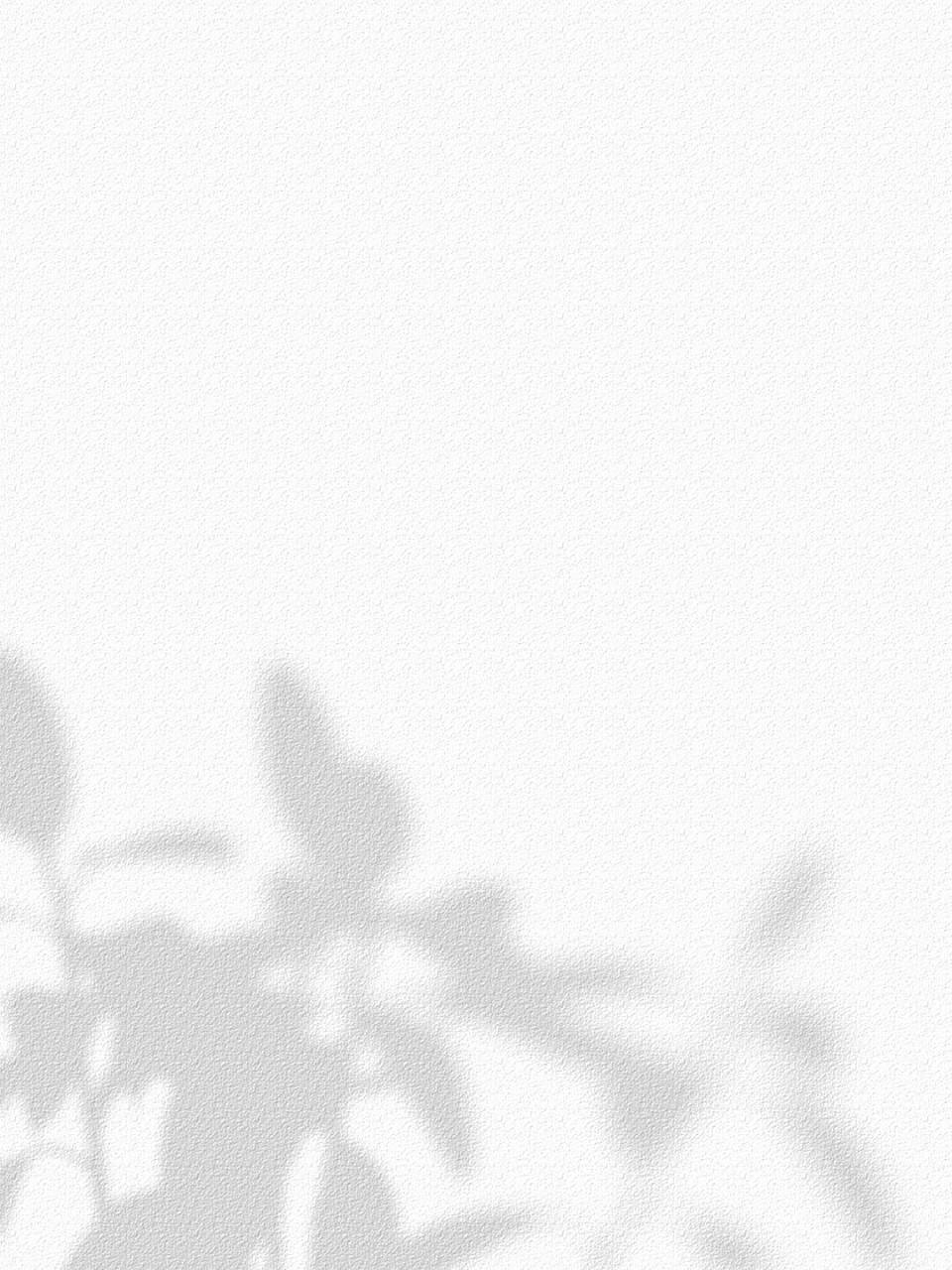 温柔的纯白色光影背景图|晒单底图|文案底 98分享一组自制的光影