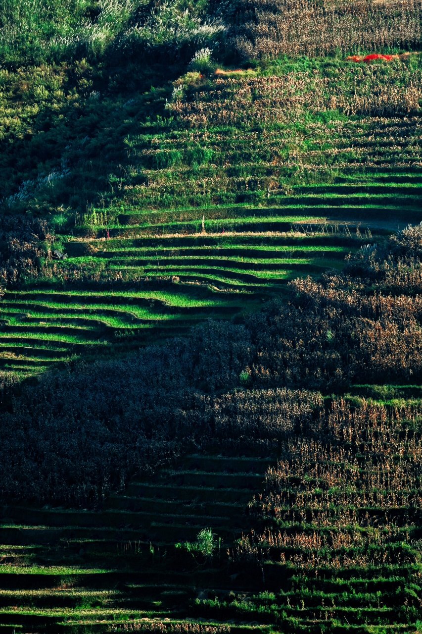 玉溪元江那诺梯田 #那诺梯田# #元江那诺梯田
