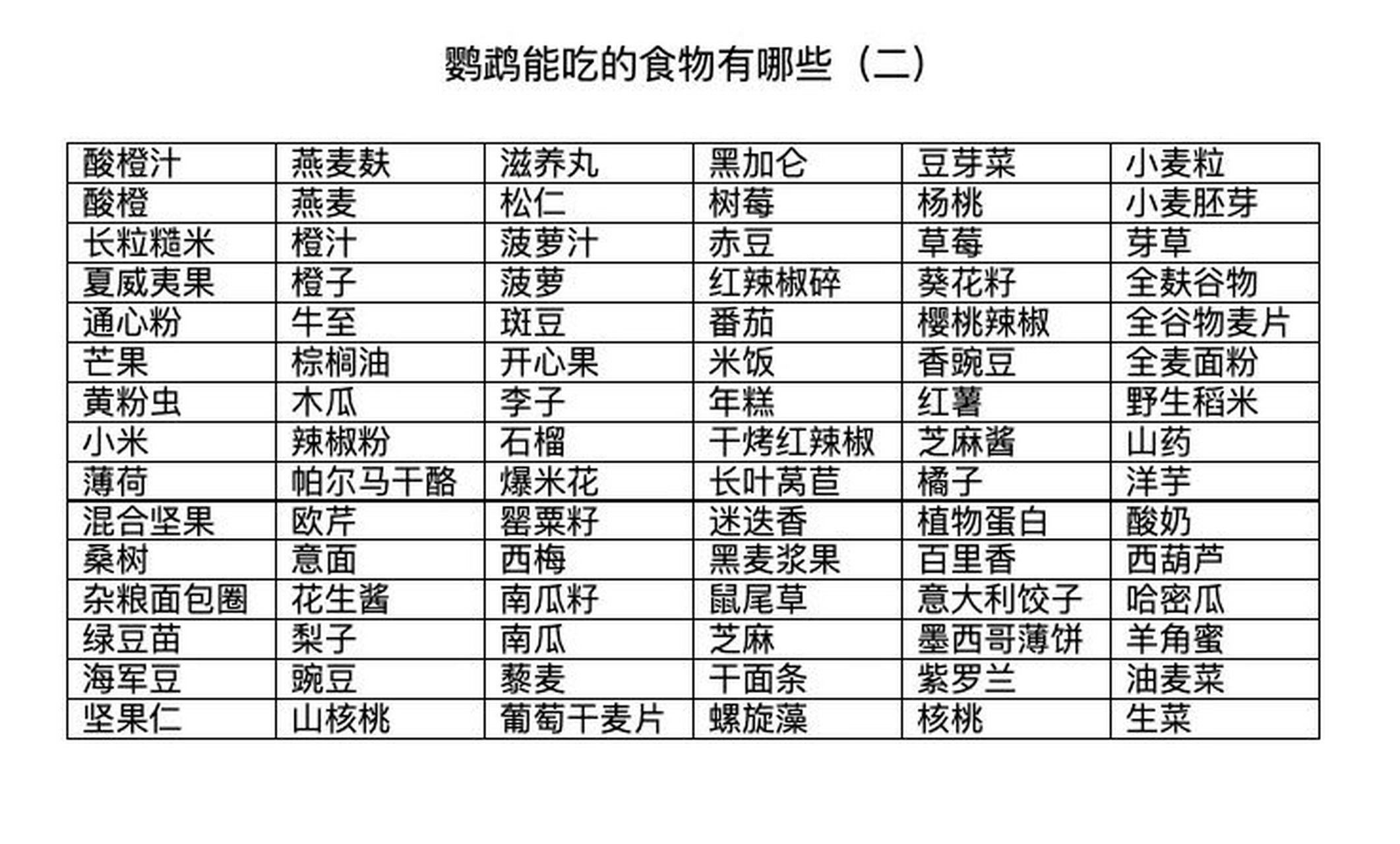 虎皮鹦鹉食谱图图片