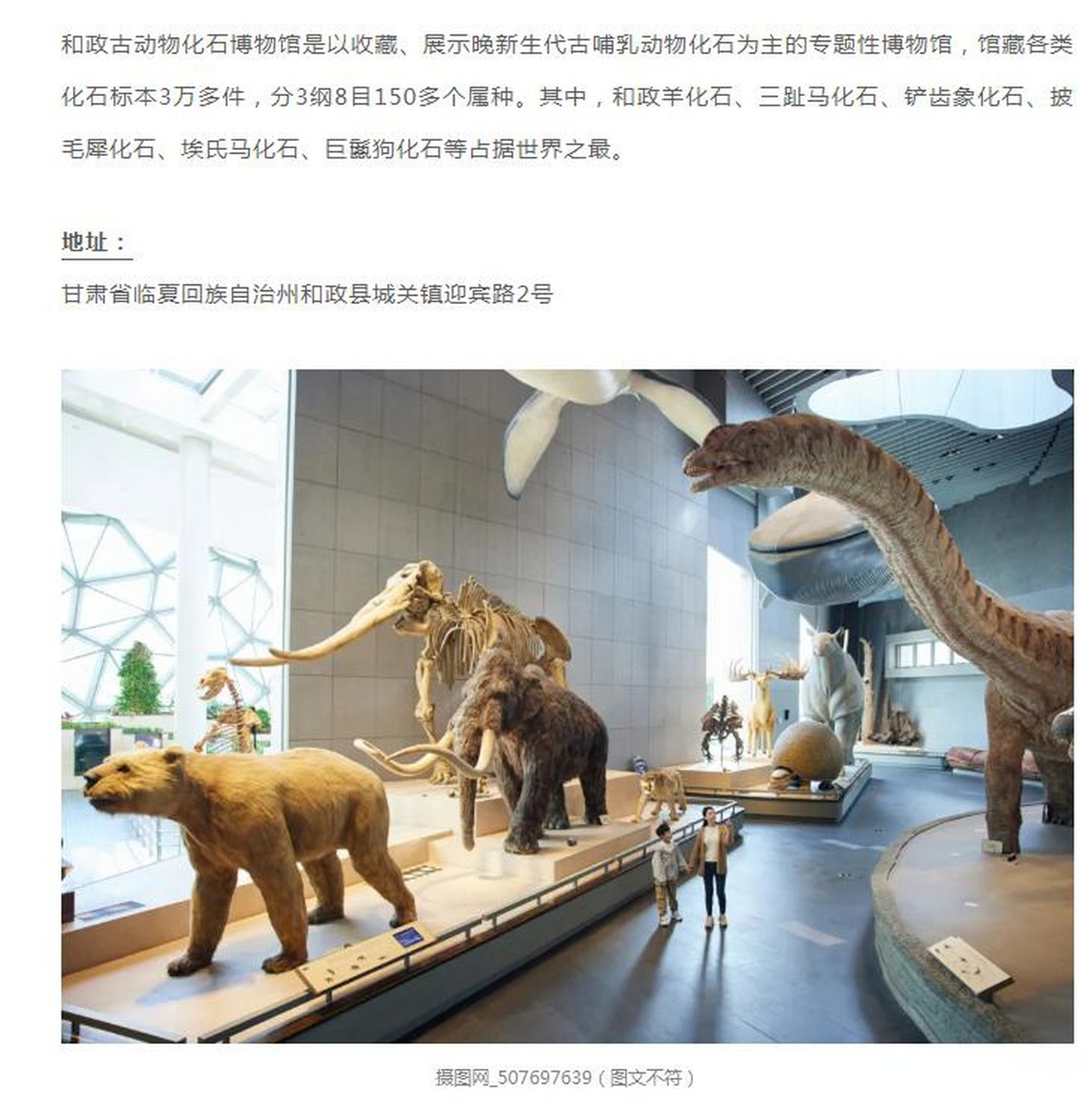 和政古动物化石博物馆