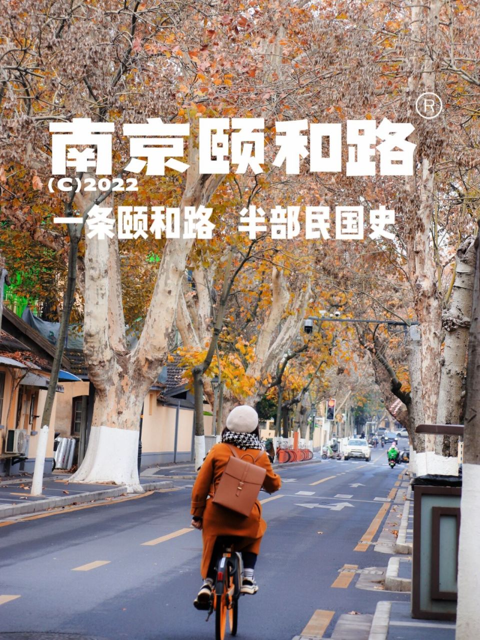 南京必刷6015『颐和路』,走进南京民国往事 9199"一条颐和路