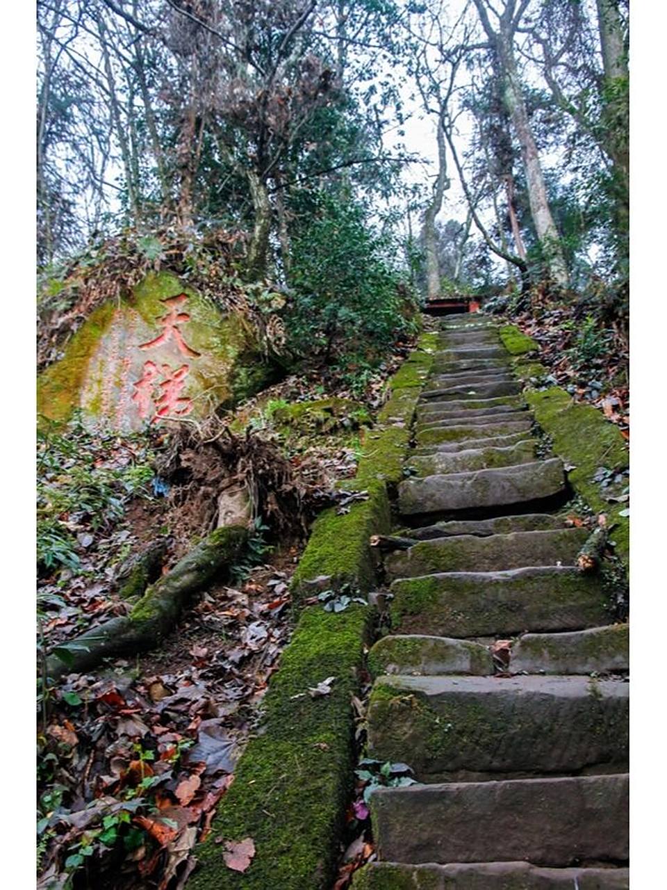 蒙顶山 蒙顶山又名蒙山,位于四川省雅安市境内,因"雨雾蒙沫"而得名,是