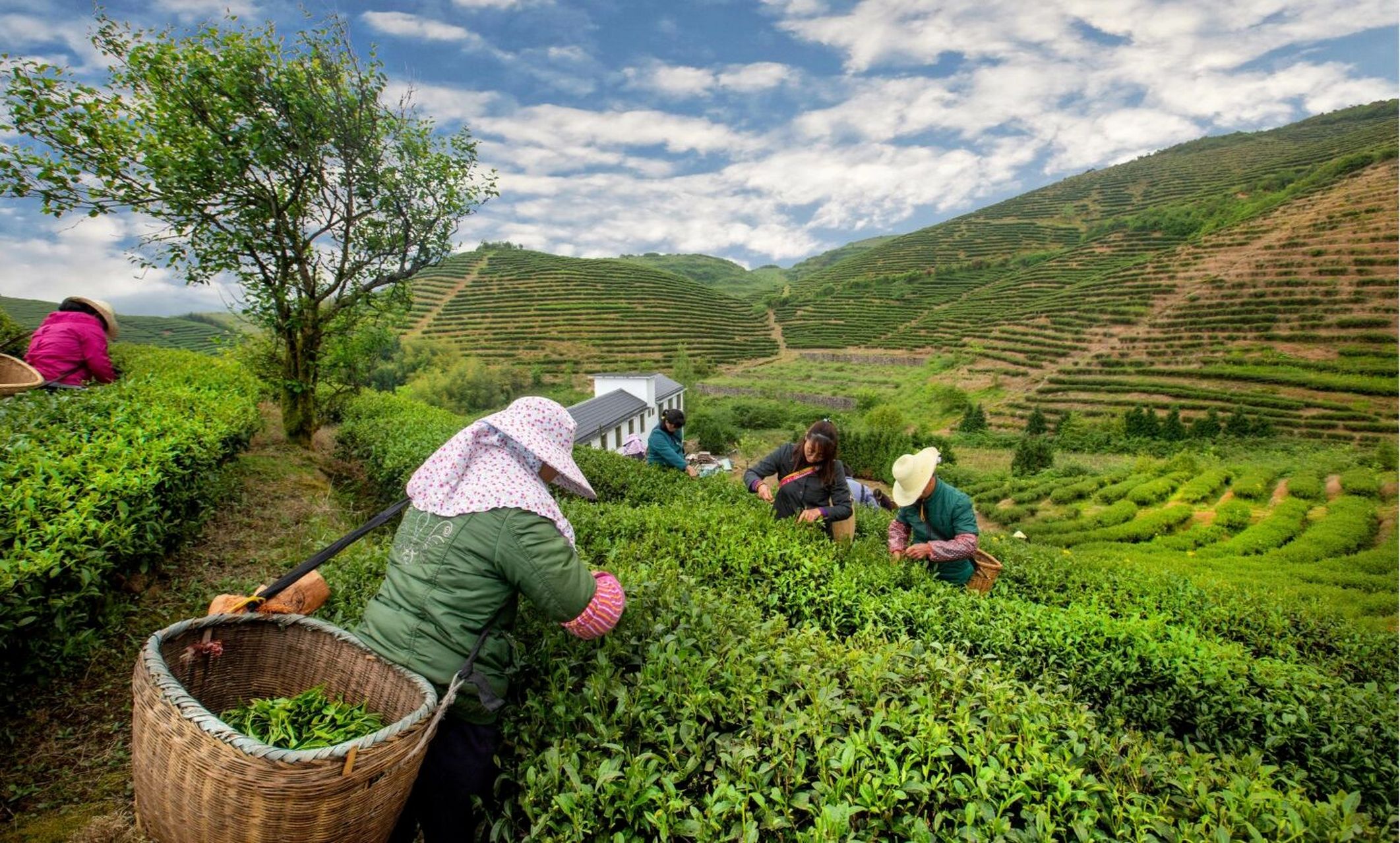株洲周边游|云上大院一个被遗忘的度假胜地 面朝大山,春暖花开.
