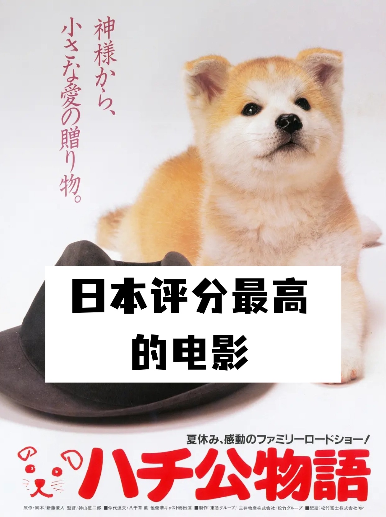 今天我要来聊聊一部日本评分超高的电影
