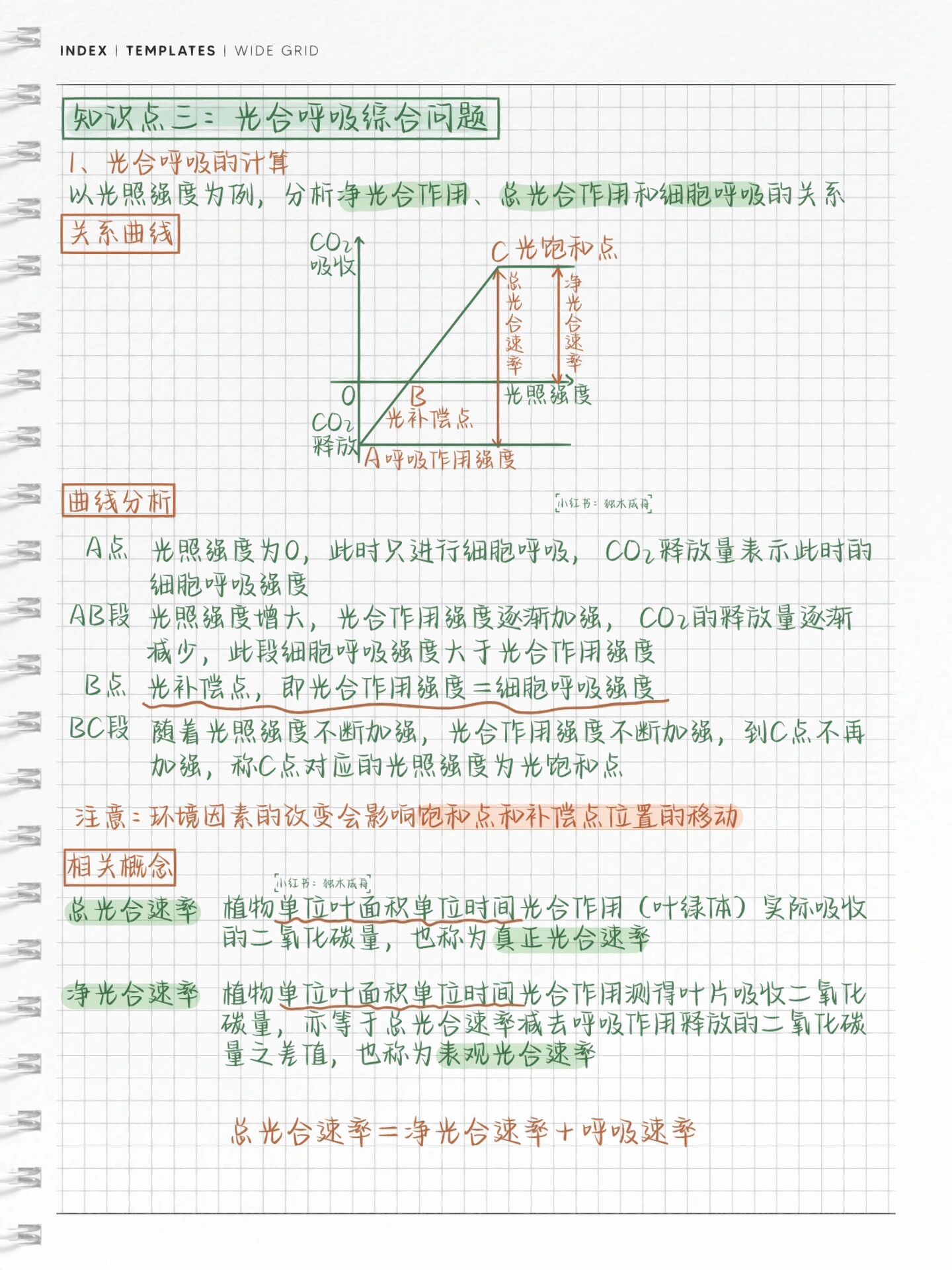 植物光饱和点对照表图片