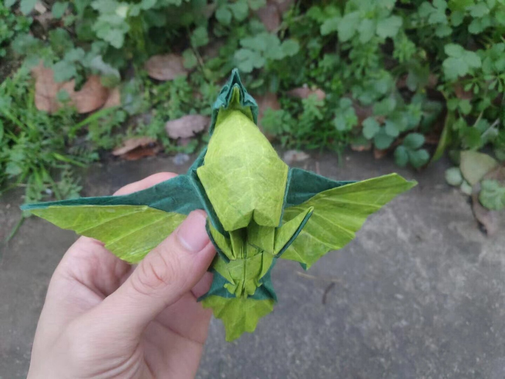 折纸麻雀 设计者:winston lee 这颜色放在草地上一点也不违和诶