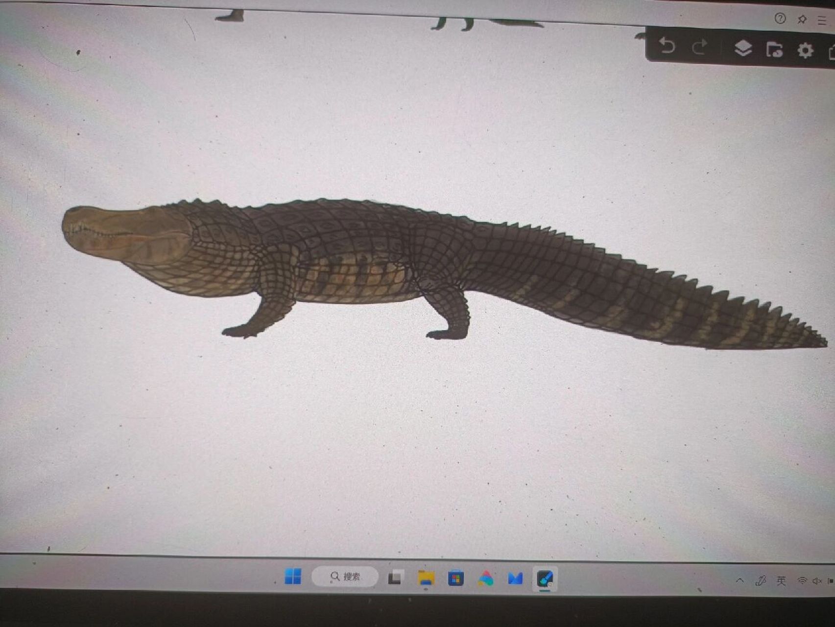 普鲁斯鳄,配色参考侏儒古鳄