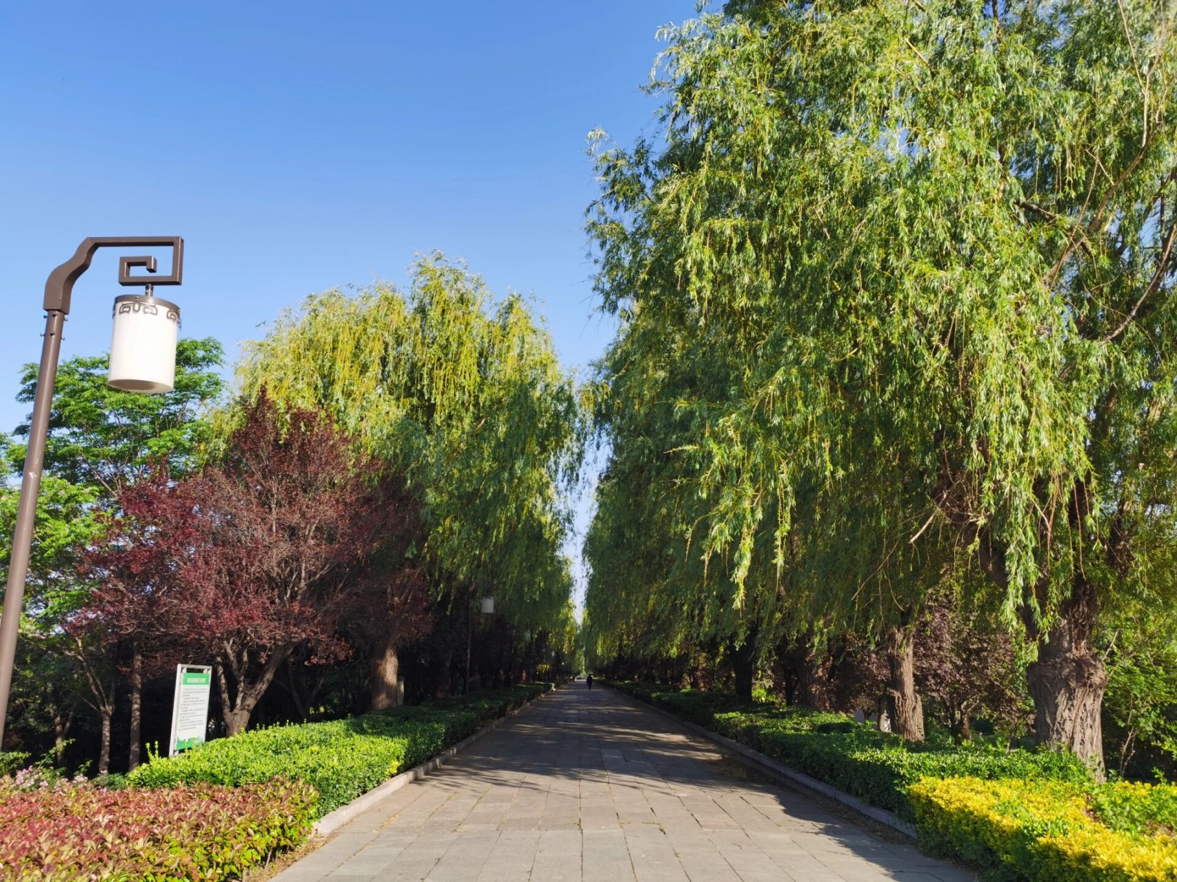 曲阜免费景点-沂河公园 博物馆9点开门儿,吃完早饭就在附近溜达溜达