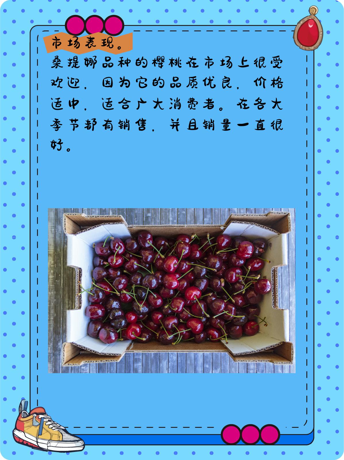 桑提娜品种怎么样 1,品种特点 桑提娜品种的樱桃果实呈心脏形,果皮
