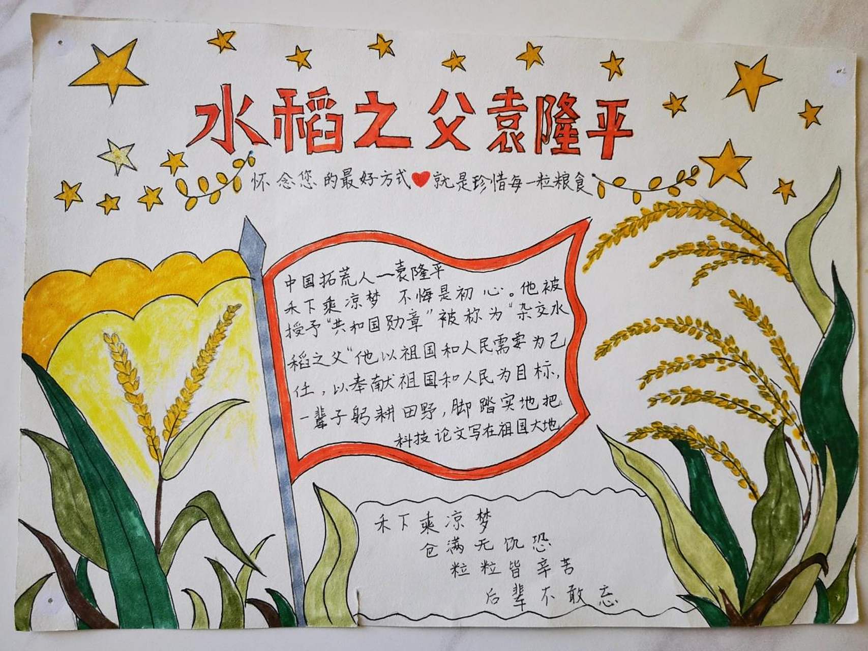 手抄报水稻之父袁隆平 手抄报水稻之父袁隆平