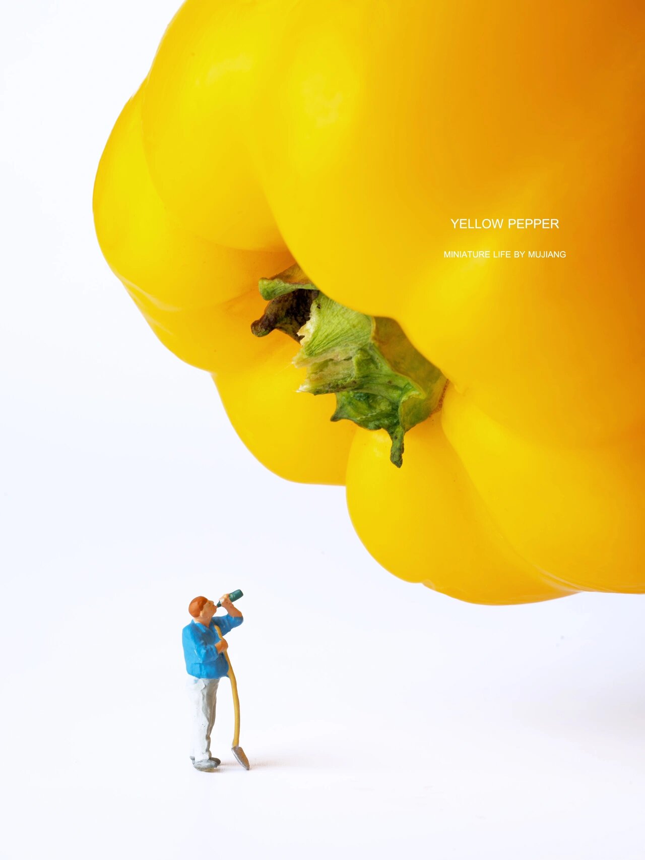 食物之美·黄彩椒·日常果蔬美食创意微缩摄影 一起买了红黄两个菜椒