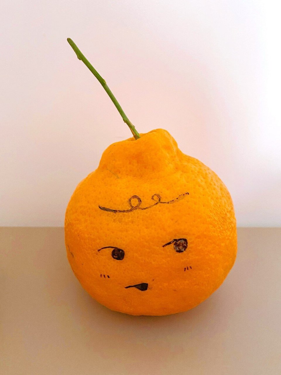 橘子表情包‖丑橘不丑不丑拒92简笔画 拿家里的丑橘创作 画个水果