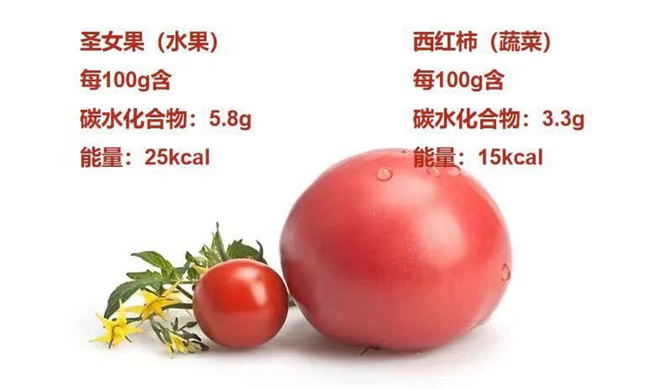 只不过圣女果的果实较小,只有硬币大下,而西红柿的果实较大,同时圣女