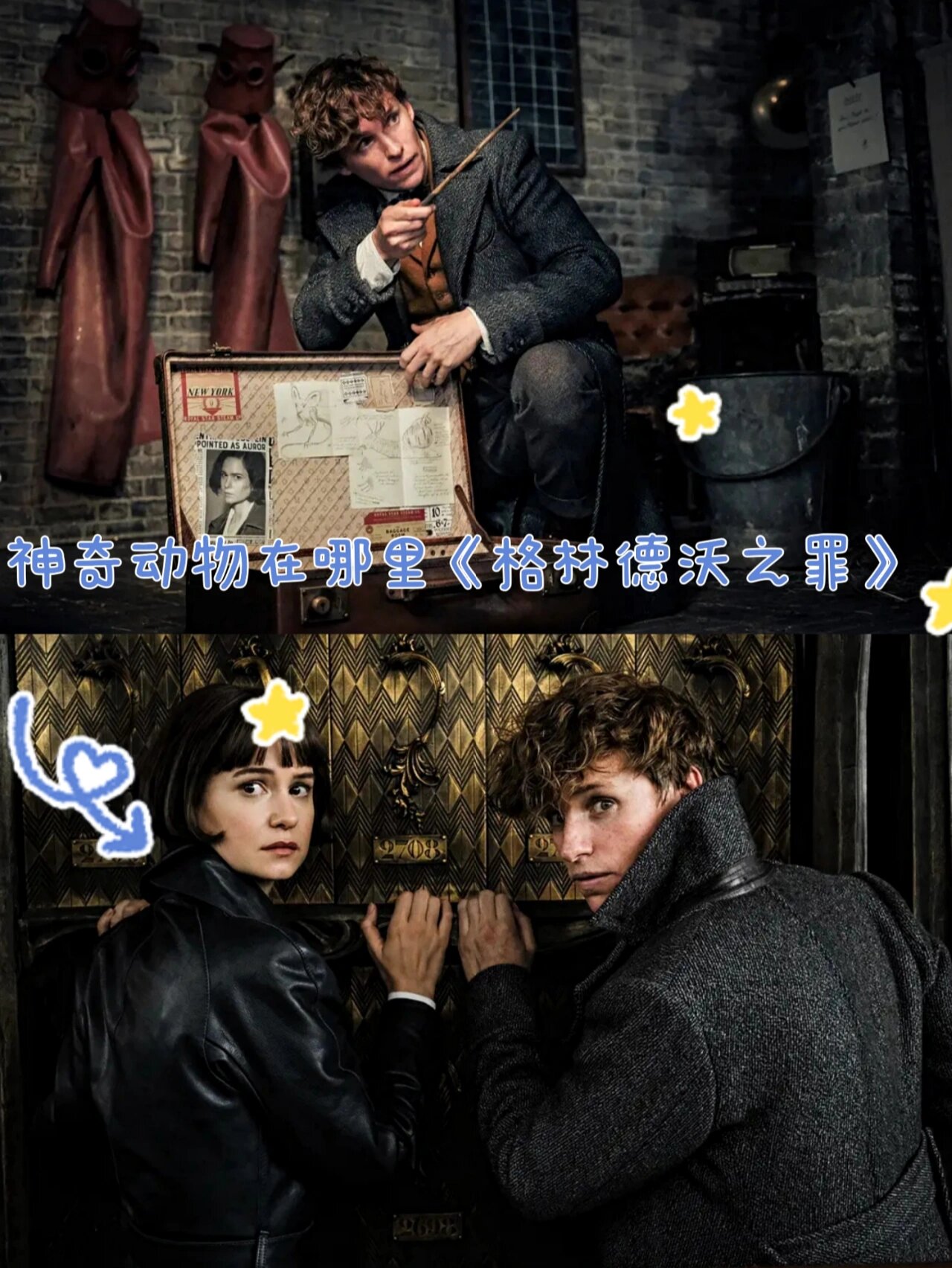 神奇动物在哪里的介绍和神奇动物在哪里有几部剧情分析
