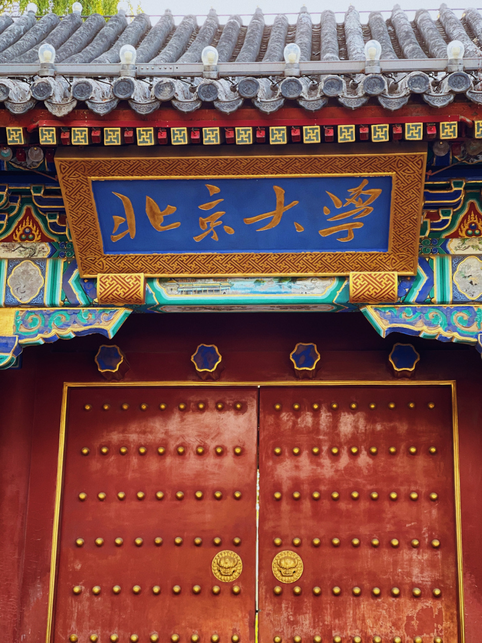 北京大学|走进校园便是无名的福气 北大中文系教授戴锦华在《北大师说