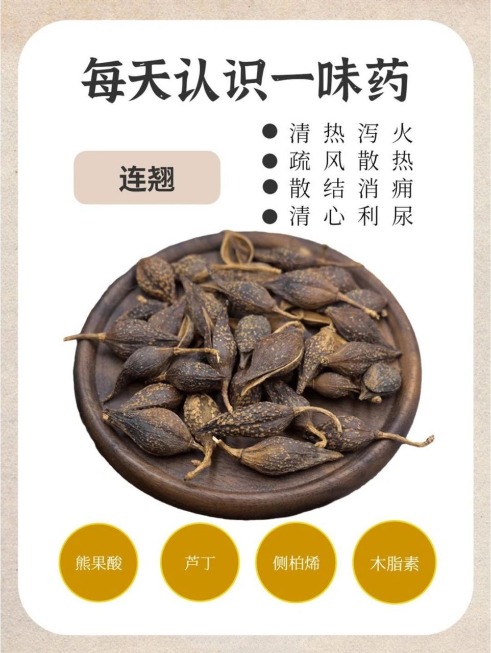 中药科普—连翘 连翘有疏散风热, 的功效,临床上可以用于治 疗热病,如