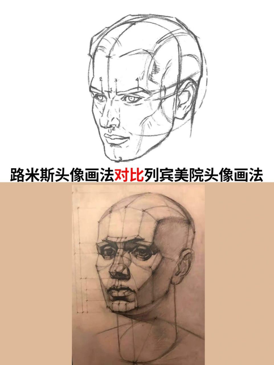 路米斯头像画法对比列宾美院头像画法 各位小伙伴大家好!