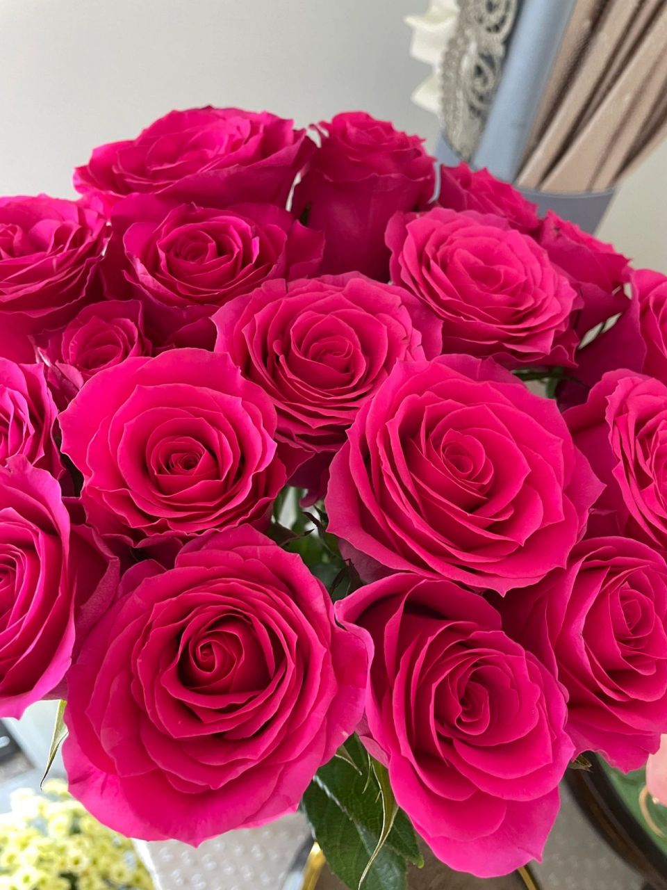 玫瑰—我最爱的"弗洛伊德" 这是我最最喜欢的花了～ 艳丽但不俗气!