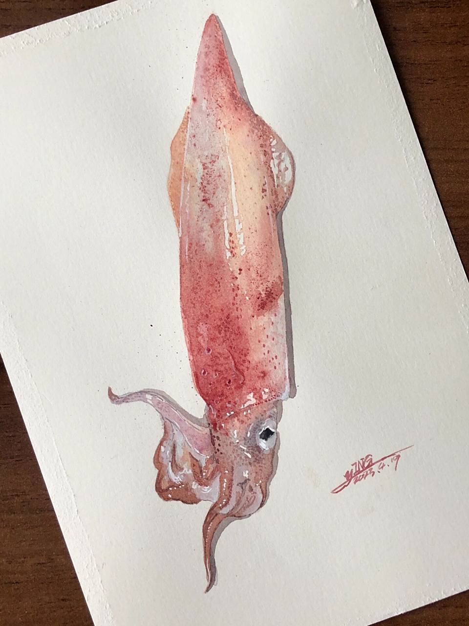 水彩鱿鱼 手账本画完了,画个小稿,水彩海鲜手绘