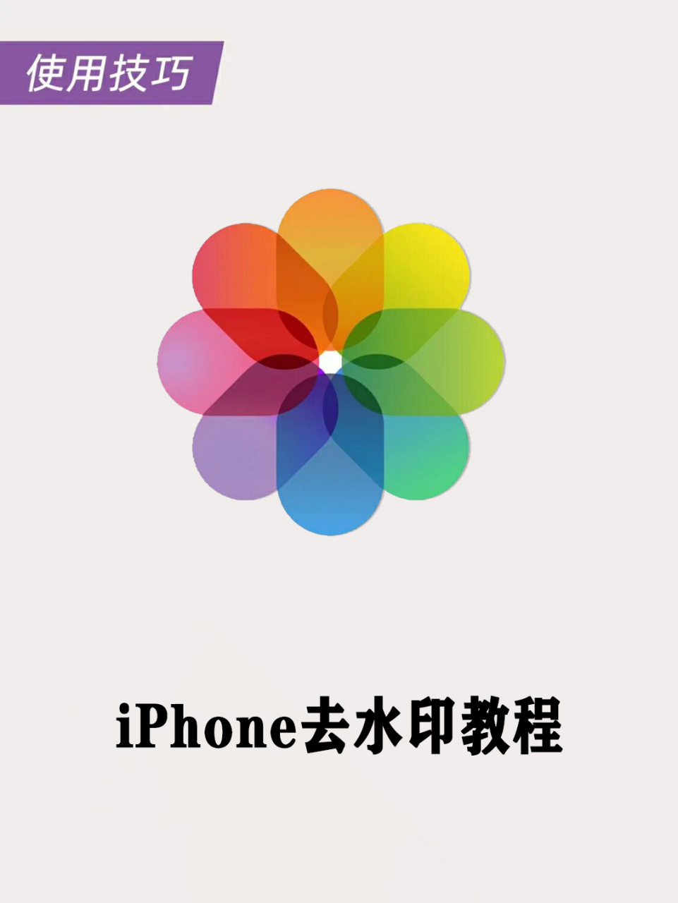 苹果相册logo图片图片