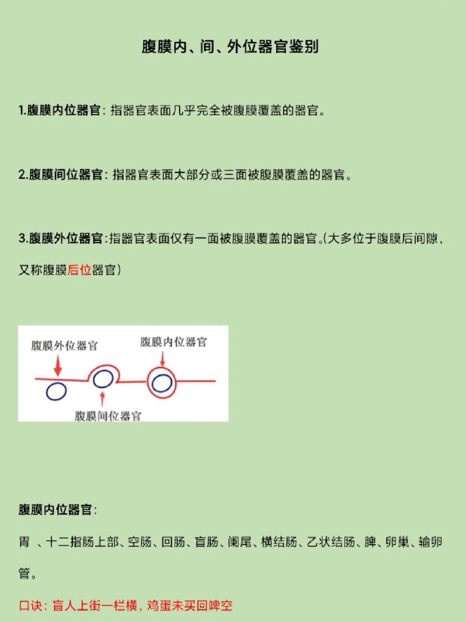 腹膜內,間,外位器官鑑別及記憶 做題的時候經常會碰到這樣的選項