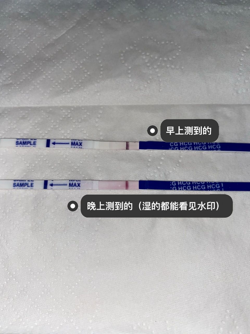 用过海氏海诺早孕试纸的姐妹进～ 排卵后第9天早上用的海氏海诺zzy验