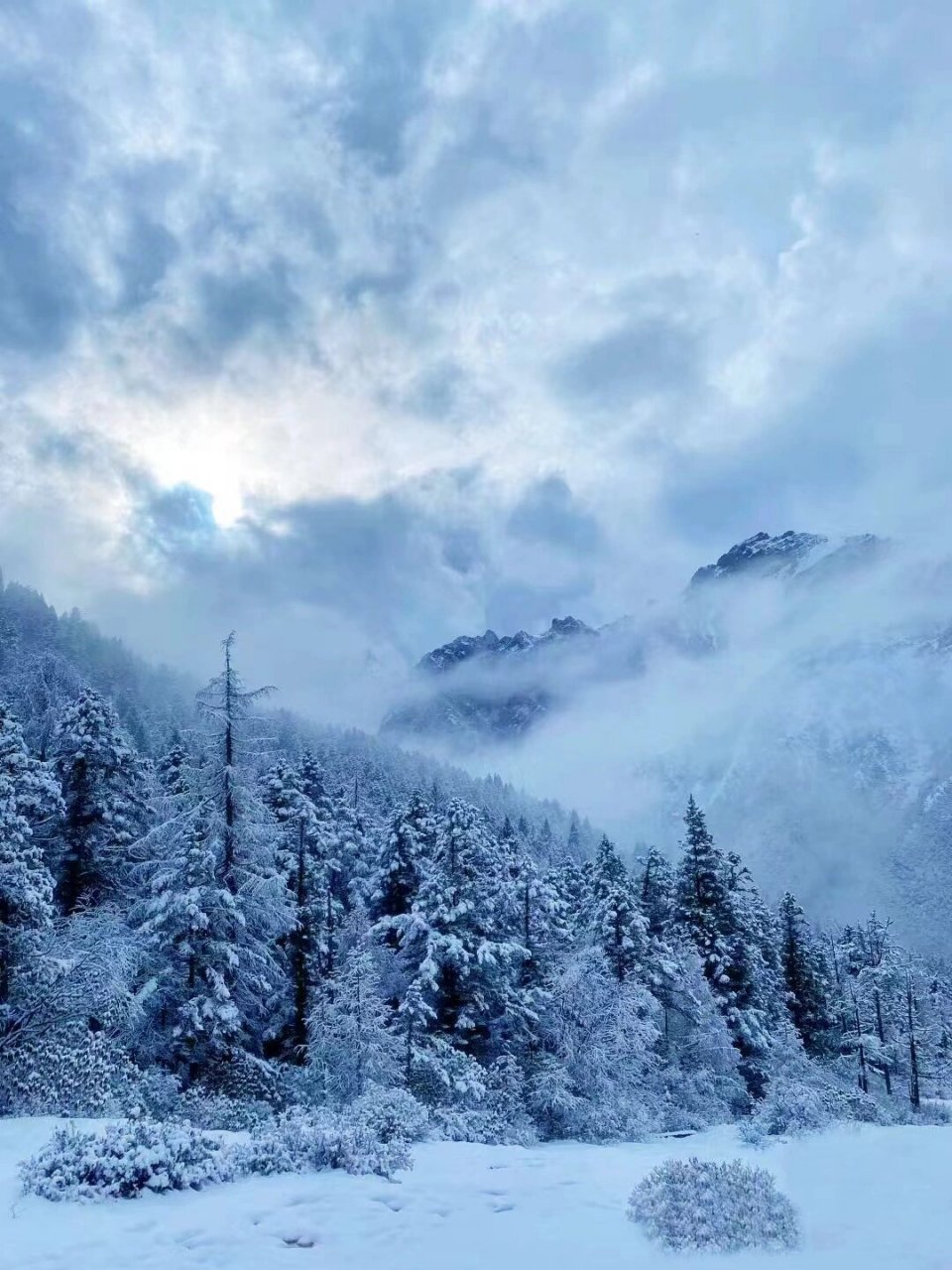 川西随记|四姑娘山的雪景必须分享给你们6015 我们这次的旅行目的