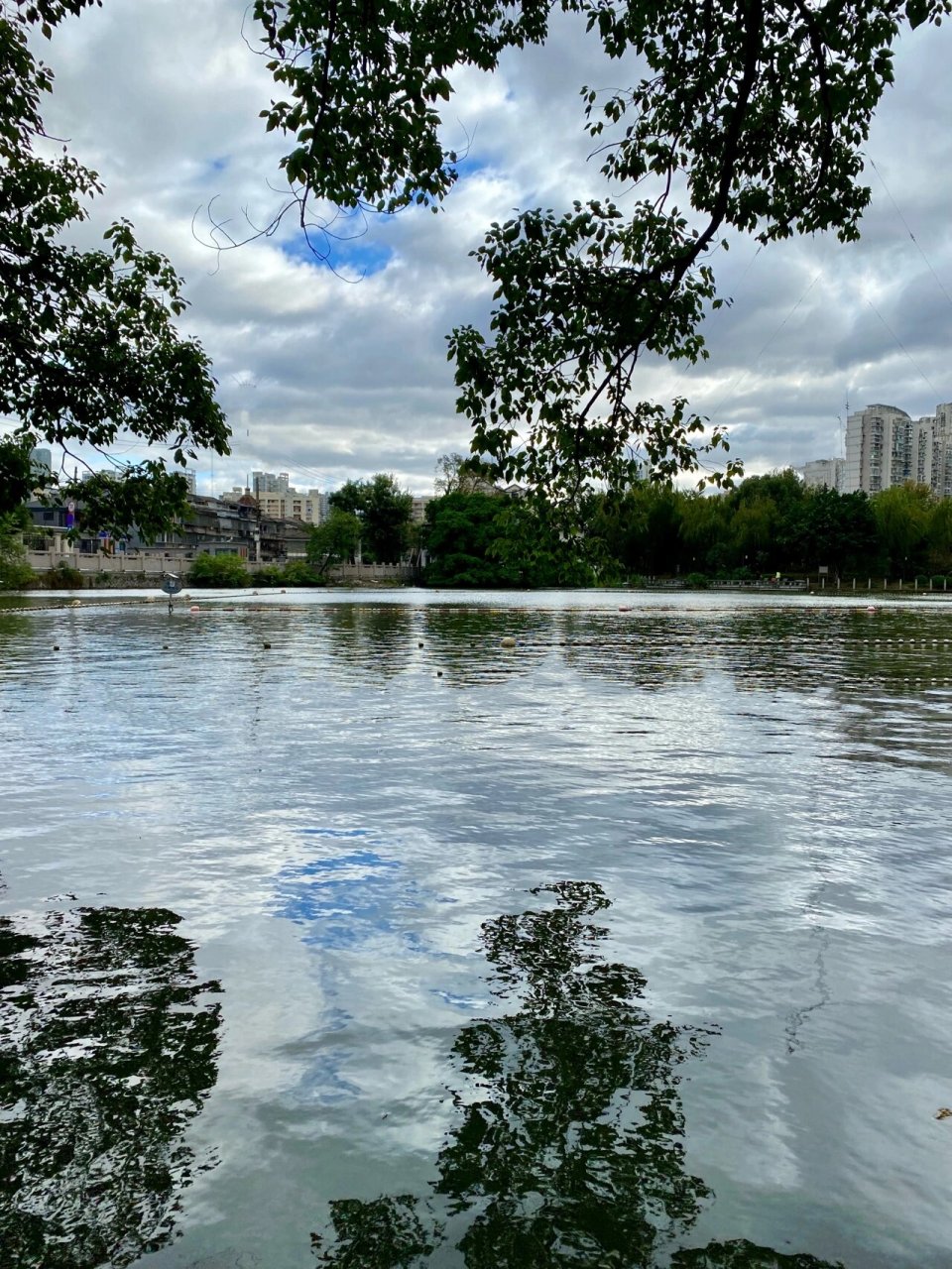 【美丽九山湖】 清晨漫步九山湖路,空气清新,尤其雨后,湖光淩淩,天空