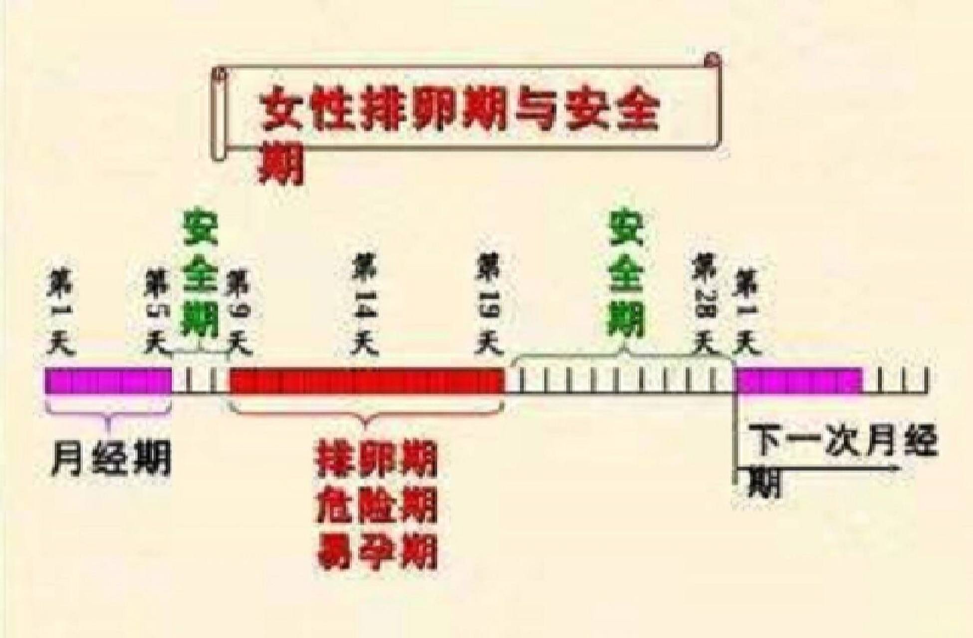 一般是指女性生理期的前七天和后八天,而排卵期则是在女性下次大衣梃
