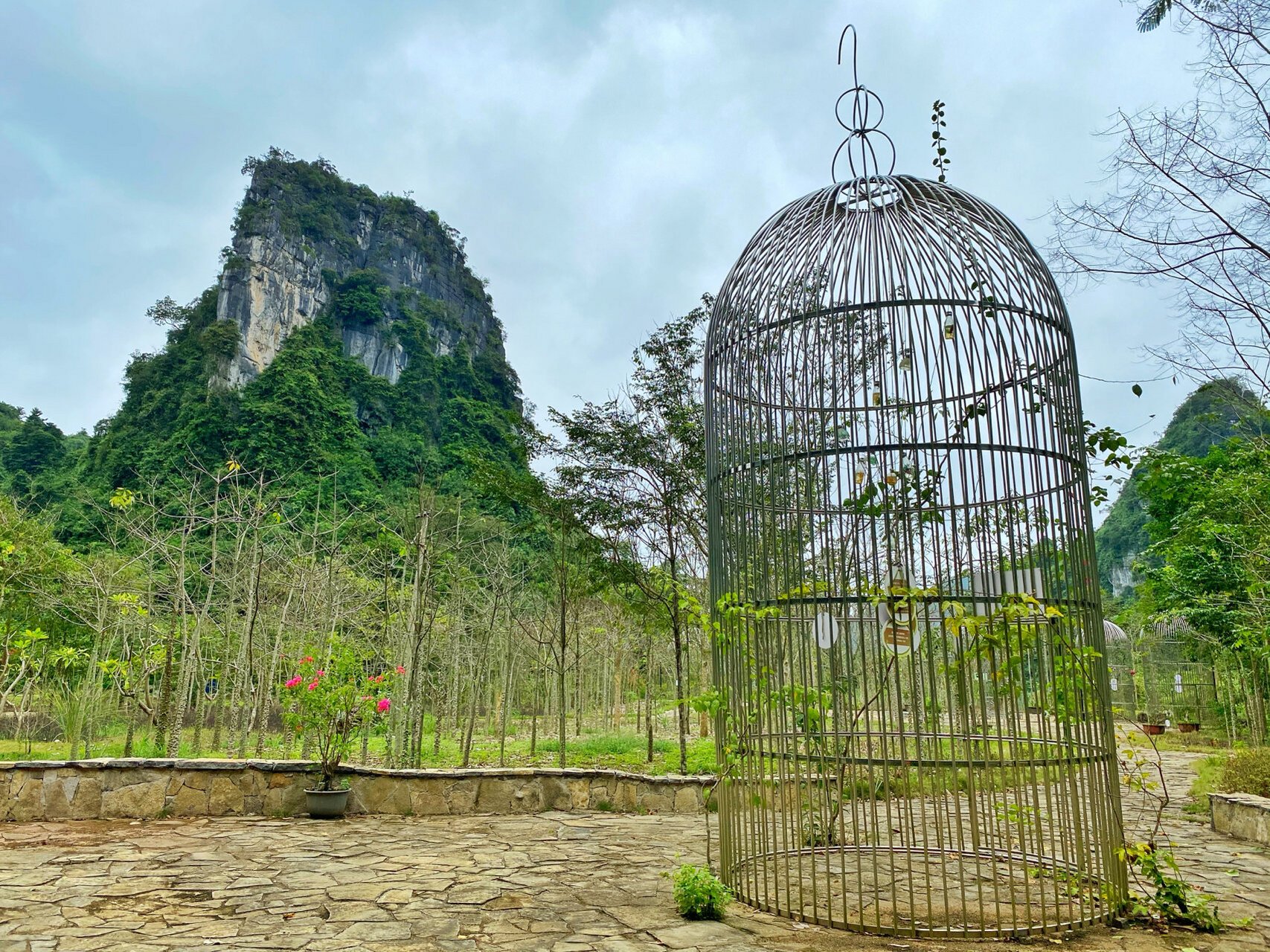 广西龙州 | 发现弄岗生态旅游景区 景区内有民宿 99不住宿 可在某