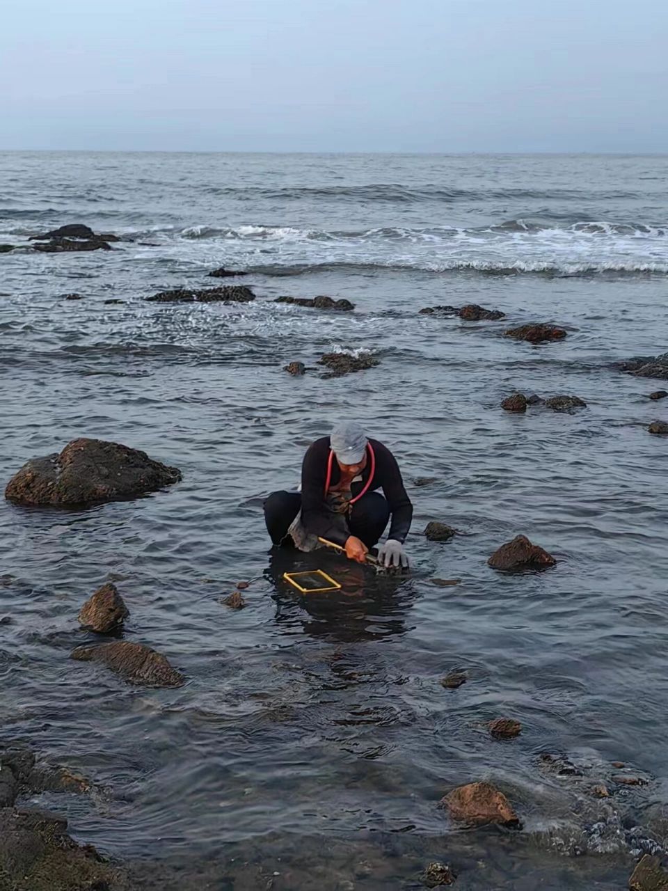 3秦皇岛东山浴场赶海79带娃深度感受大海 北京出发,三个半小时抵达