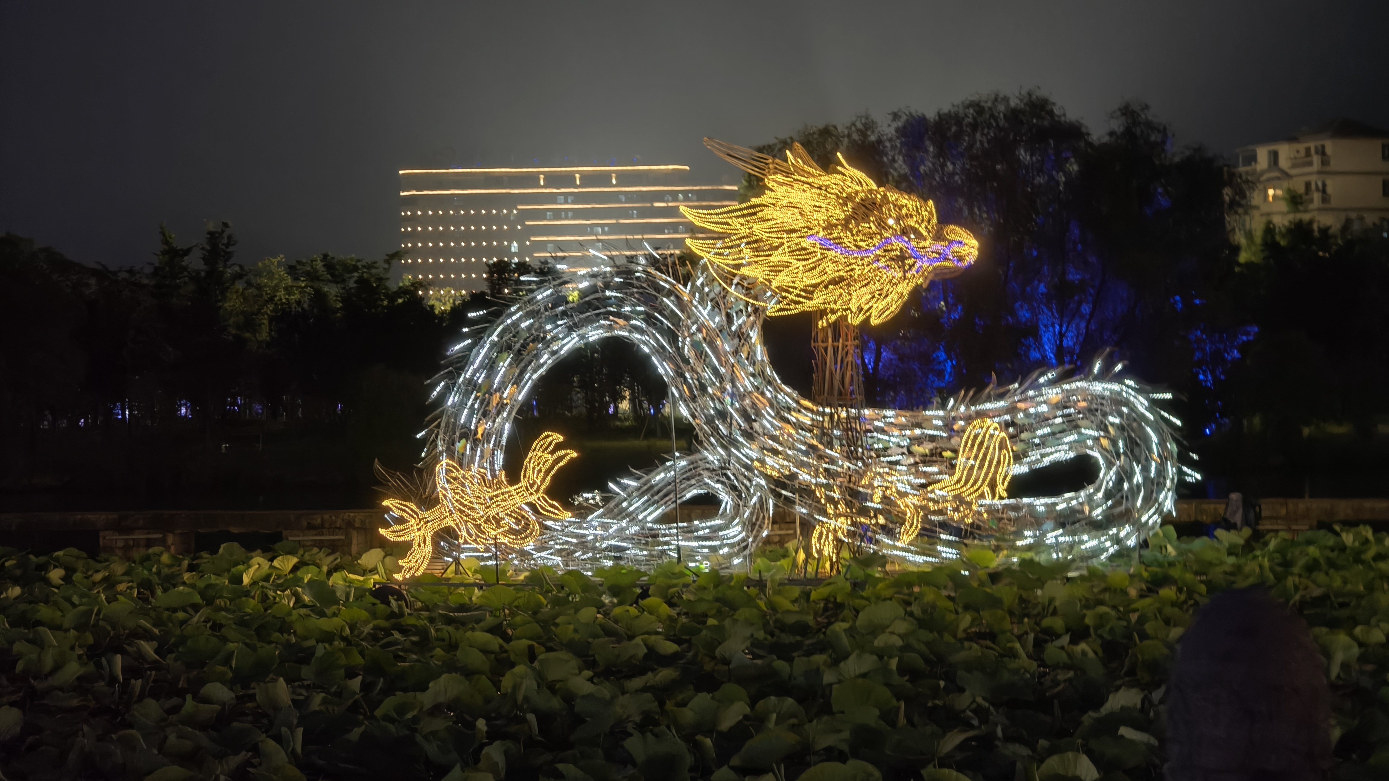 鲁镇夜景图片