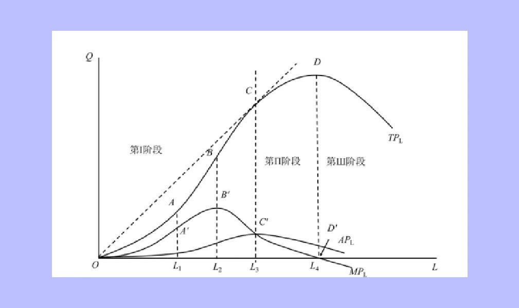 考研801经济学之短期生产三阶段9191 根据短期生产的总产量曲线