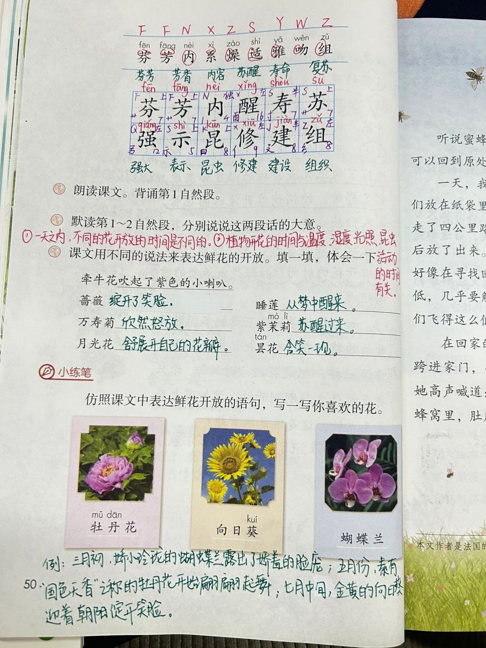花钟93备课笔记92 这一课主要写了一天之内不同的花会在不同时间