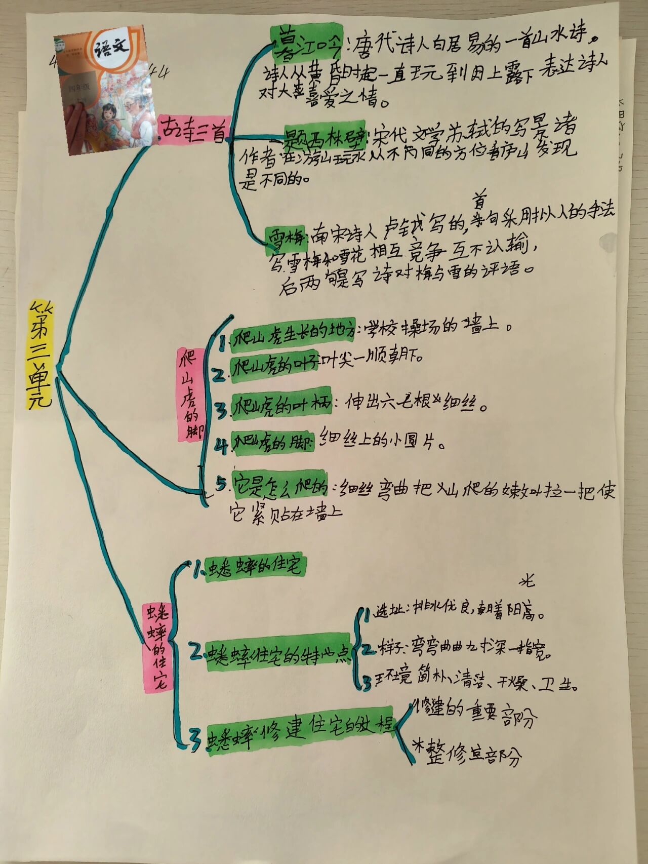 四年级上册u3思维导图图片