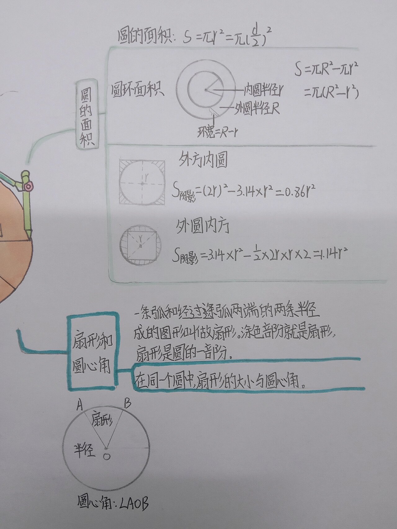 六年级圆思维导图漂亮图片