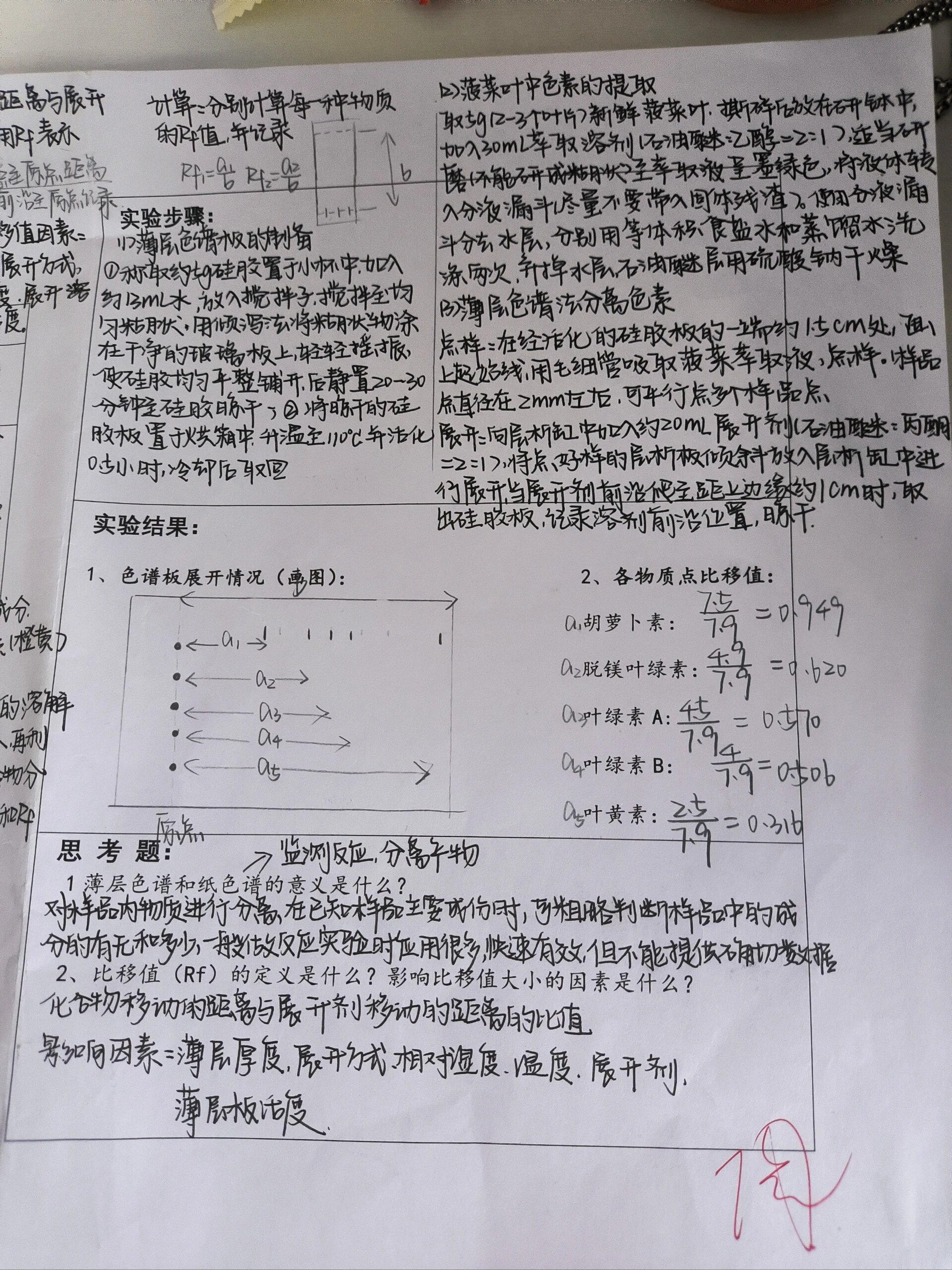 聚酰胺薄层色谱法图片