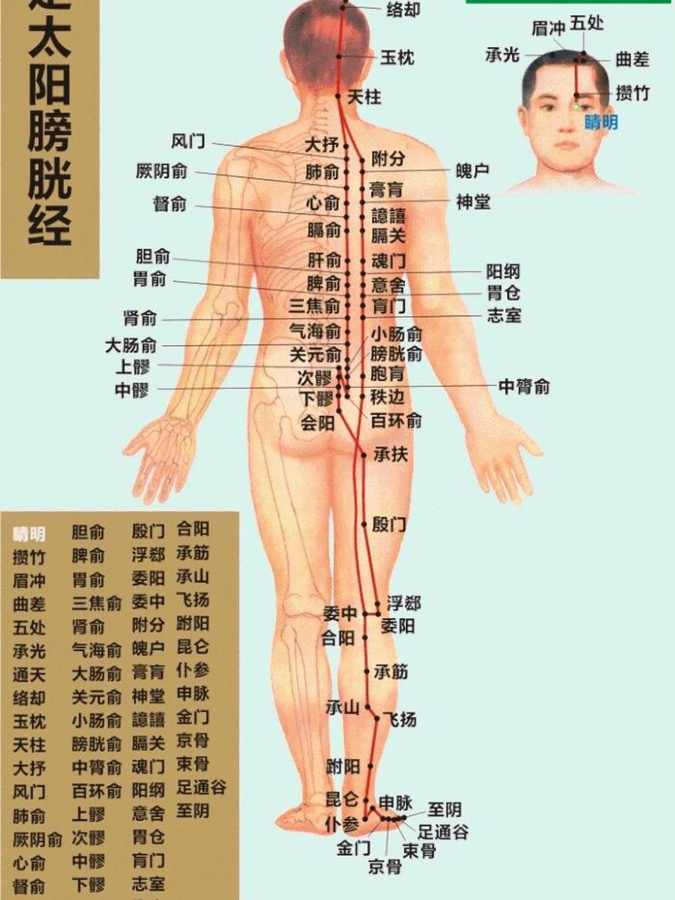 倪海厦 | 坐骨神经痛常年痔疮治承扶
