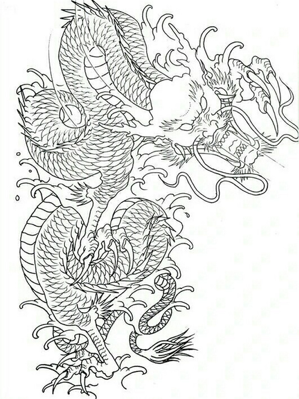 龙纹身.过肩龙纹身手稿 半胛