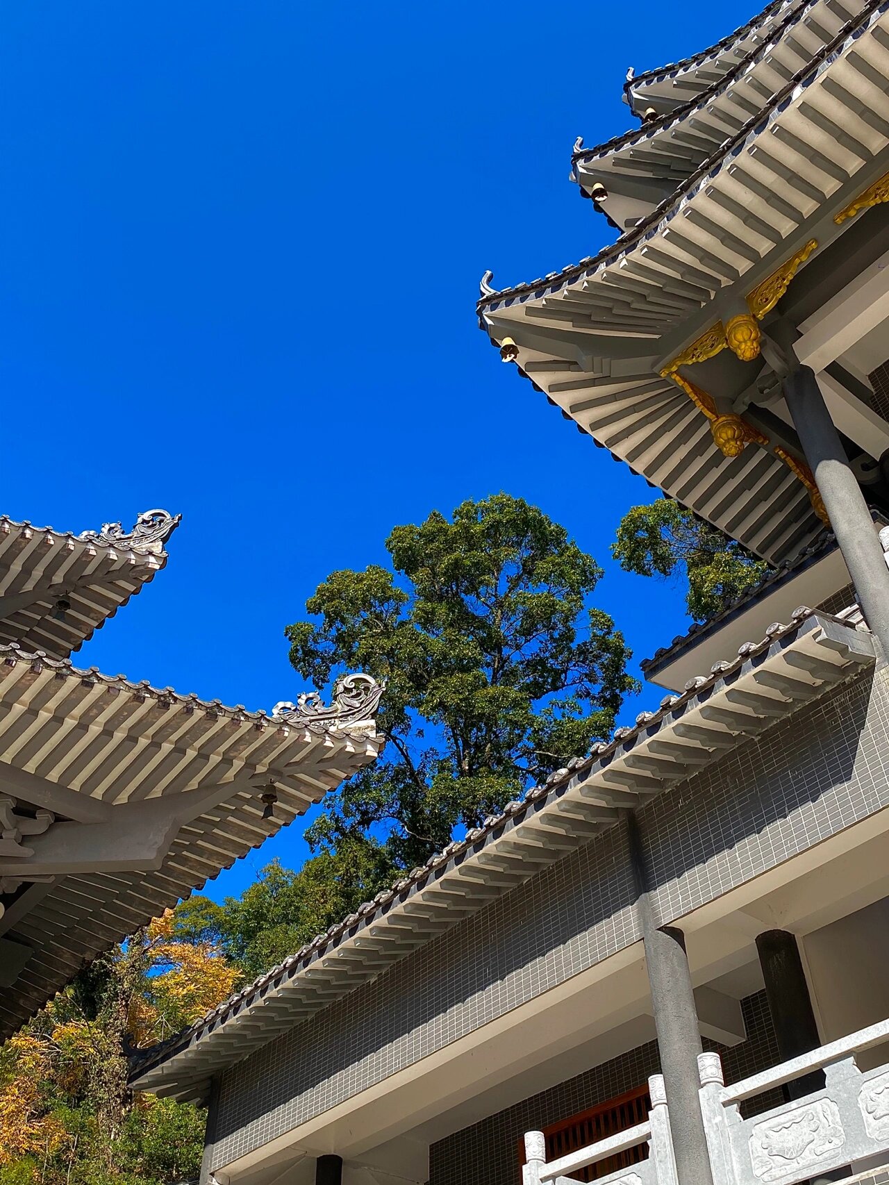 赣县田村宝华寺图片