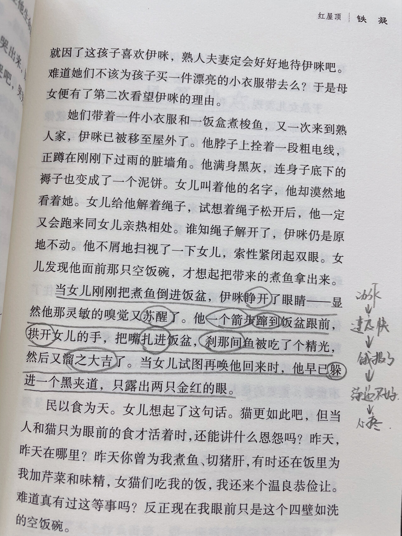 《红屋顶