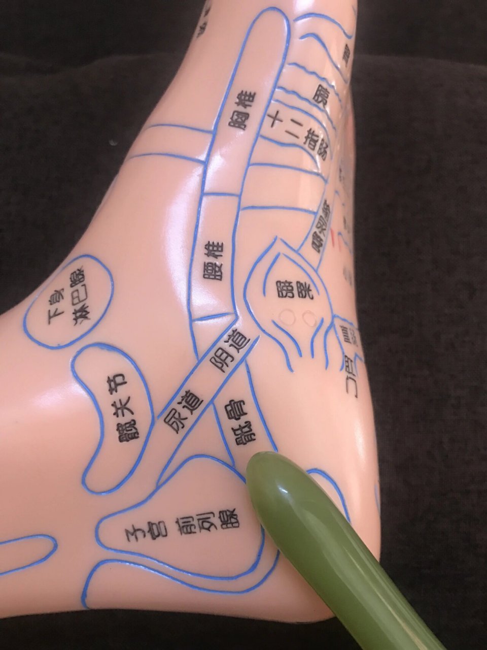 足底按摩 祛百病 了解反射区位置功能     骶骨及尾骨: 位置:位于腰椎