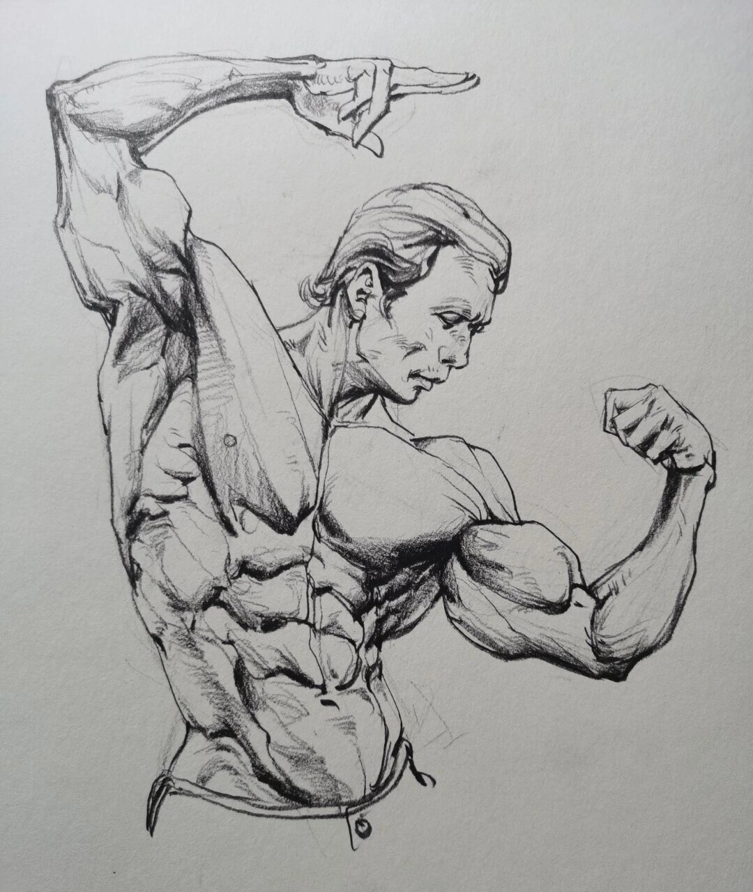 分享一波速写肌肉