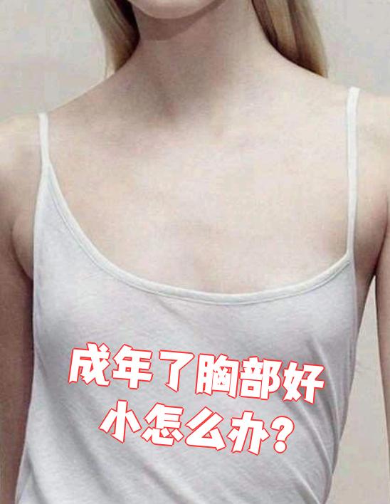 成年了胸部好小怎么办?