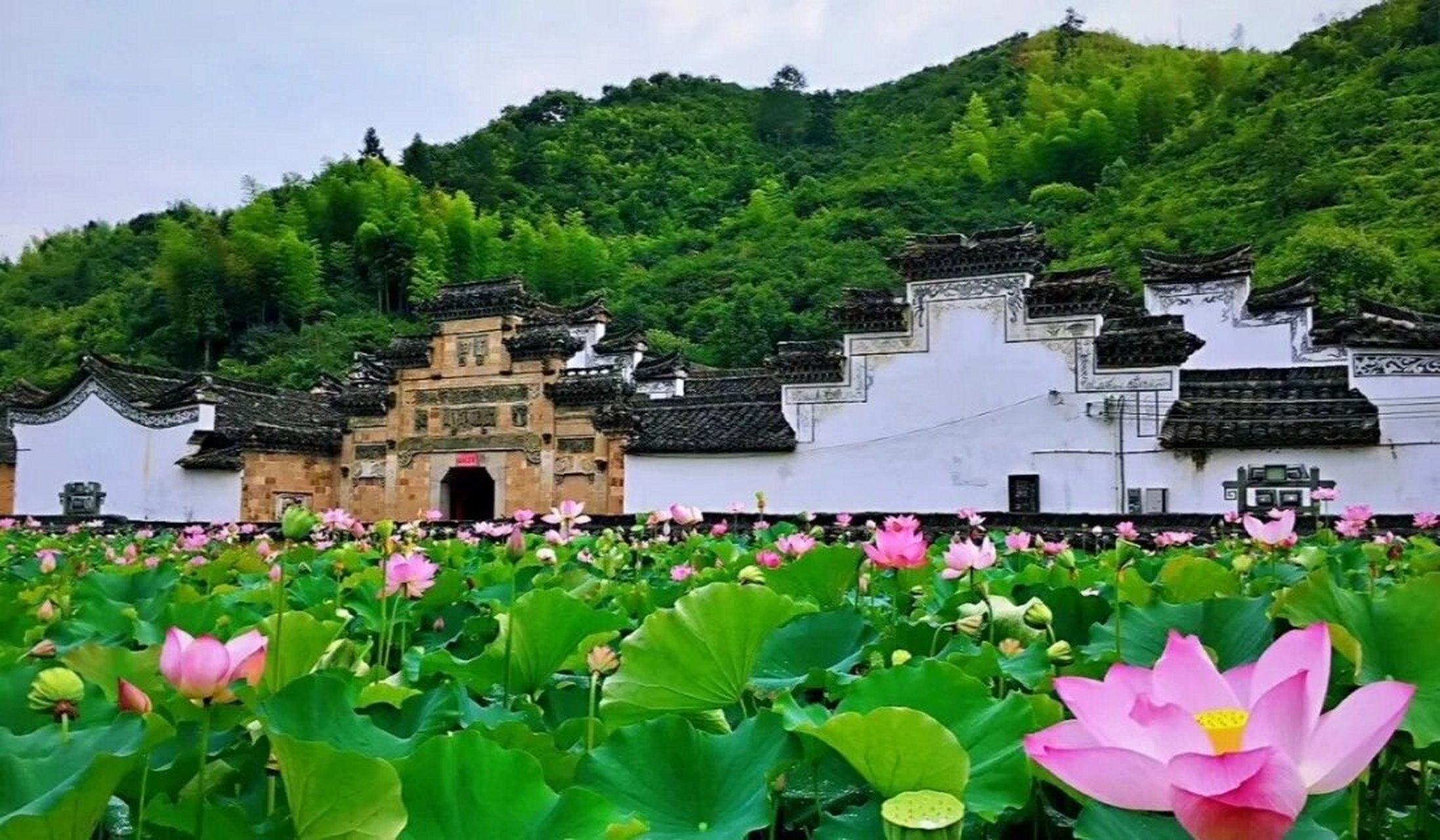 打卡宝藏摄影目的地～丽水松阳石仓 很偶然的机会,跟朋友来到这里,被