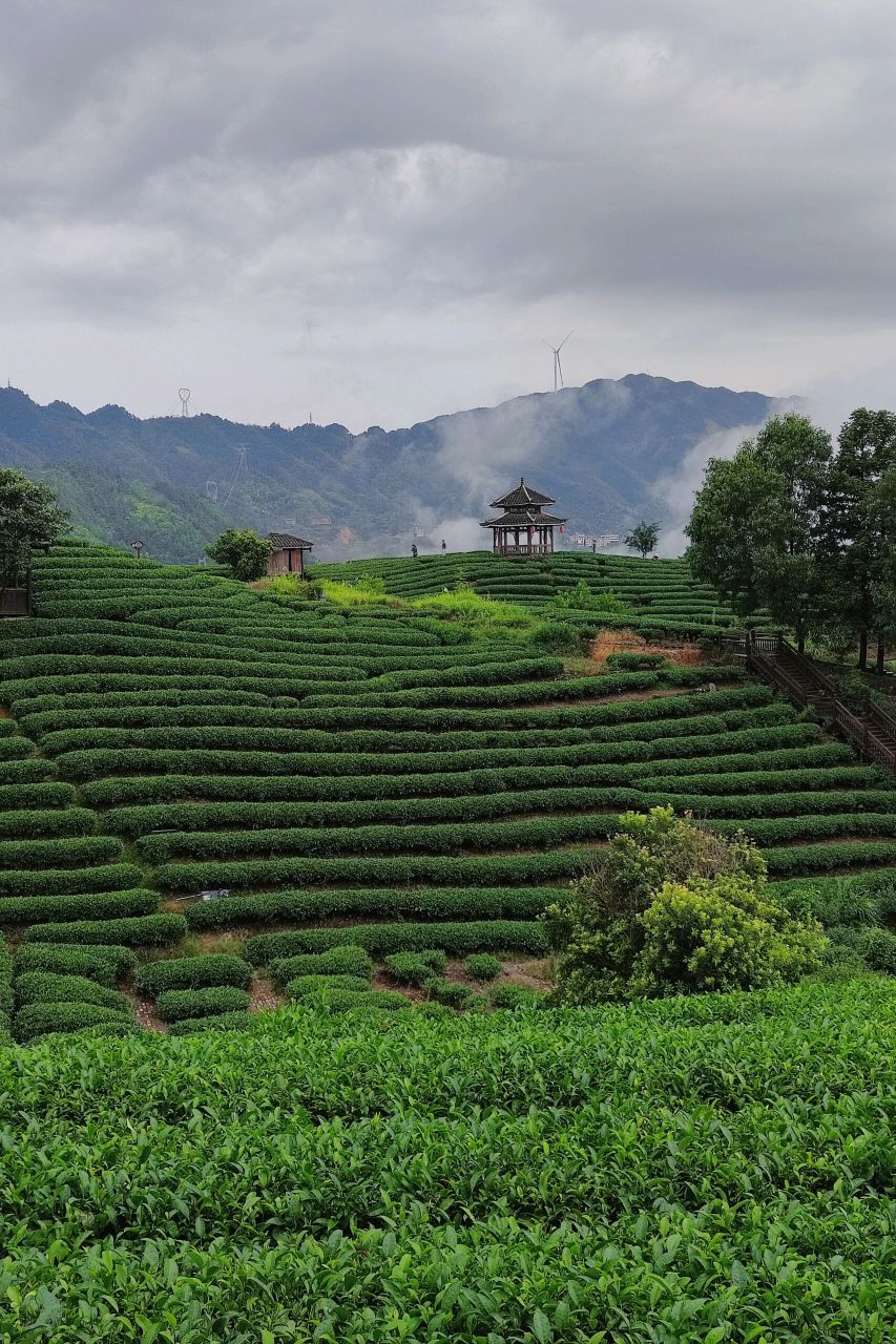 柳州三江布央仙人山 这周去的,真的好美!随便一拍都是壁纸